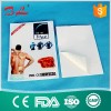 Pain Relief Patch Capsicum Adhesive Plaster Medicated Plaster L69