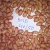 Import Peanuts Kernels Java and Bold from India