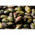 Import Pecan Nuts High Quality Grade Raw organic Fresh crop of Pecan Pieces in 30 lbs Bulk and Vacuum bag from China