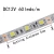 Import Popular Small Battery Operated Neon Rgb Led Strip Light Tube 12v Led Strip Light from China