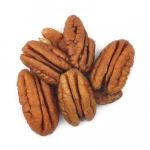 Premium Quality Pecan Nuts for Sale/ Pecan Nut in Shell / Pecan Nut Pieces