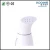 Import Private Label OEM mini Portable electric handheld clothes steamer for travel and home from China