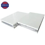 Pu Sandwich Panel Pu Roof and Wall Panel Clean Room Panel