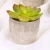 QSLH-PE043 Handmade Indoor Decorations Artificial Succulents Plants with Pot