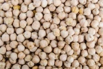 Quality chickpea/chick pea market price