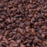 Quality Dried Cocoa Beans