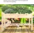 Import Raised Garden Bed Elevated Wood Planter Box Outdoor Raised Wooden Planter Garden Grow Box with Legs, Lockable Wheels and Storage from China