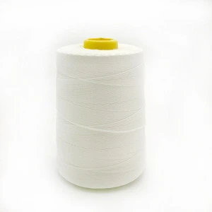 Raw pattern 100% polyester material twisted sewing thread for bag closing machine A3