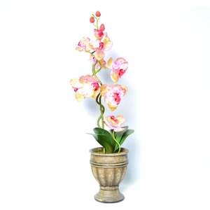 Realistic Ornamental Pink Forever Orchid Flower Plant HC-ZH6165D-48