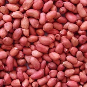 Red Skin Peanuts / Blanched Peanut Kernels / Roasted and Salted Redskin Peanuts from South Africa