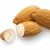 Import Roasted Almond Nuts / Salted Almond Kernels / Dry Almond Nuts for sale from Brazil