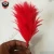 Import Royal Regiment Duck feather Red &amp; White Plume Hackle for Beret Hat from Pakistan