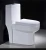 Import S-trap Wash Down Sanitary Ware Floor Mounted Ceramic One Piece Toilets from China