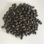 S420 Wan Lian High Quality Lotus Seeds