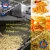 Import Safety snacks dryer/snacks drying machine/snacks drying equipment from China