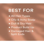 Salon care deep cleansing shampoo 300ml moisturizing hair shampoo