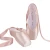 Import Satin Dance Shoe Ballet Pointe Shoes For Women from China
