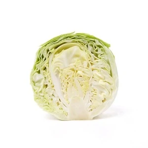 Seasonal cabbage, export package vegetables,export cabbage