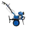 Small Garden Tiller with 173f Diesel Power Made in China