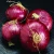 Import Specification And Price Ton Fresh Red Yellow Onion from China