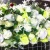 Import SPR wedding cheap arch flower decoration flower from China