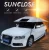 Import SUNCLOSE prevent frost car windshield cover padded car cover protect in summer or winter cover from China