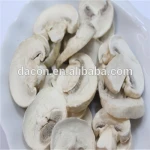 supply frozen dried Agaricus bisporus  mushroom