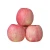 Import Sweet Fresh Fuji Apple Available Now For Exportation from China