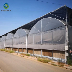 The cheapest Hot Sale Sainpoly Large Size Multi-Span Arch Agricultural Plastic Film Greenhouse