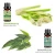 Import Therapeutic Grade Essential Oils - All of Our Most Popular Scents and Best Essential Oil Blends from China
