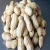 Import Top Grade Raw Peanuts and Peanuts for sale / blanched peanut kernels in round shape from Philippines
