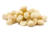 Top shelf Raw Macadamia nuts