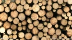Trade Assurance wood log carbonization furnace/sawdust briquette carbonize stove/bamboo charcoal carboning Kelly008615713693490