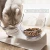 Import Transparent Cat Neck Protective  Pets Feeder 15 Degree Double Water Food Feeding Bowls for Pet from China