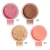 Import Trending Products 4 Color Loose powder highlighter makeup private label pigmented makeup foundation for all skin from China