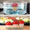 TV show product egg boil tool  6pcs set