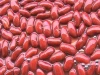 types of canned pinto beans 400g in brine/in tomato sauce