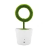Unique Plant Air Cleaner Innovative Home Decor Office USB Gadgets