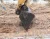 Import used caterpillar excavator e120b, japan used cat e120b e200b excavators for sale from Kenya