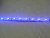 Import UV 400-405nm  flexible strip 3528 Smd led strip from China