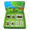 Various Kind of Nut Specimen in Resin School Kindergarten Best Teaching Aids Educational Toys and Gift Supplies