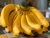 Vietnam Fresh big Cavendish banana
