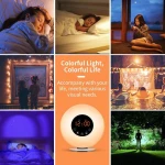 Wake Up Light Wood Grain Sunrise Sunlight Alarm Clock with 6 Natural Sounds & FM Radio & Snooze Function and 7 Colors