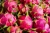 Import White And Red Fresh Dragon Fruit With High Quality From Vietnam 0084 815570479 from Vietnam