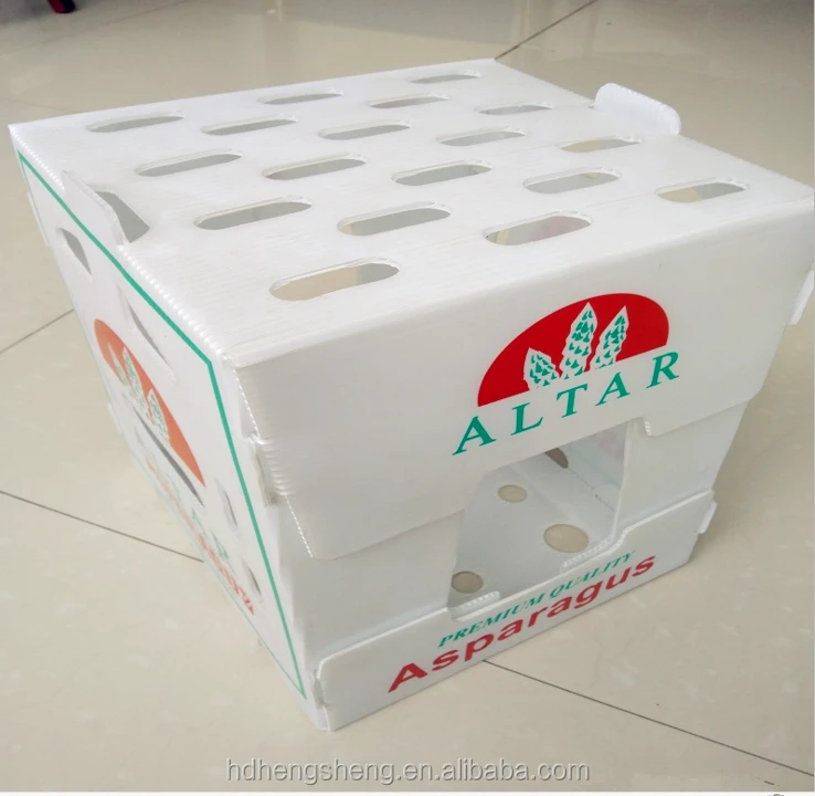 white printed corflute coroplast Polypropylene Plastic Corrugated fresh asparagus packing box