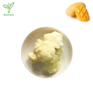 Wholesale bulk 100% Pure Organic Unrefined raw mango butter cream