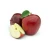 Import wholesale fresh fruits apples from China