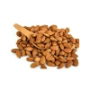 Wholesale fresh high quality sweet apricot almond kernels prices