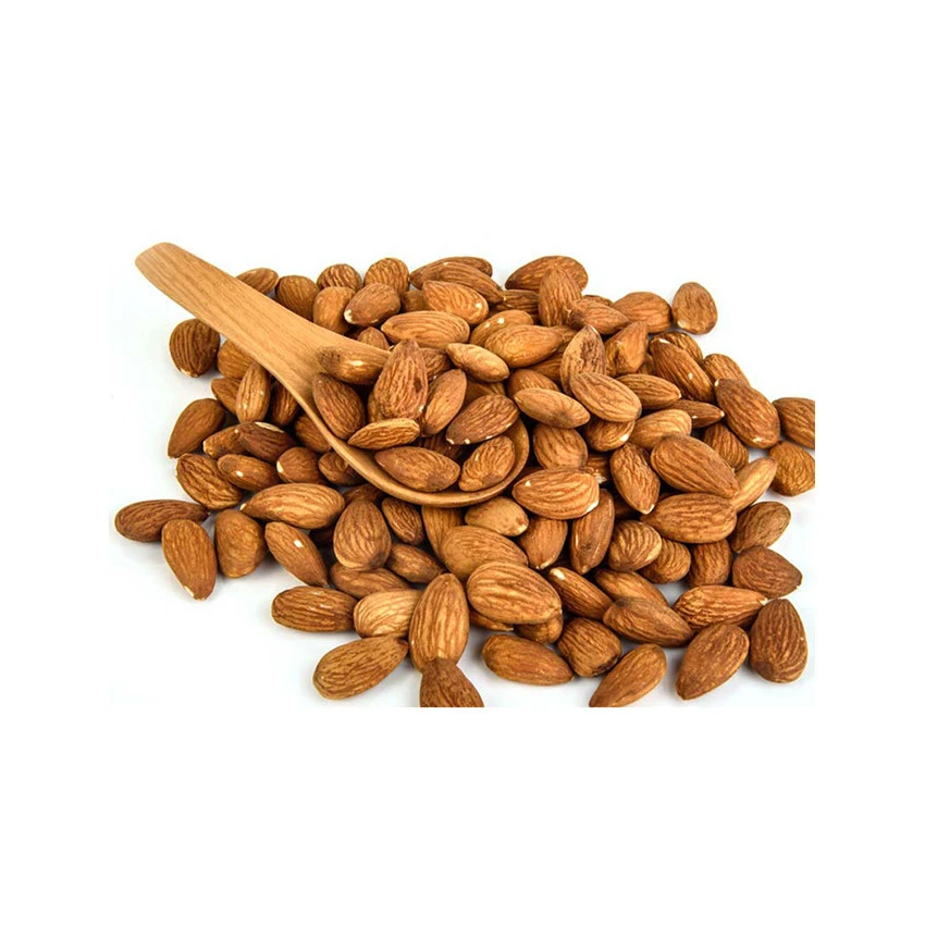 Wholesale fresh high quality sweet apricot almond kernels prices
