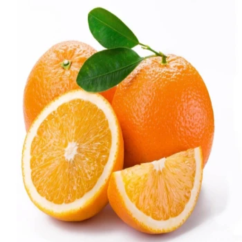 Wholesale Fresh Oranges New Season 2020 Best Price Oranges